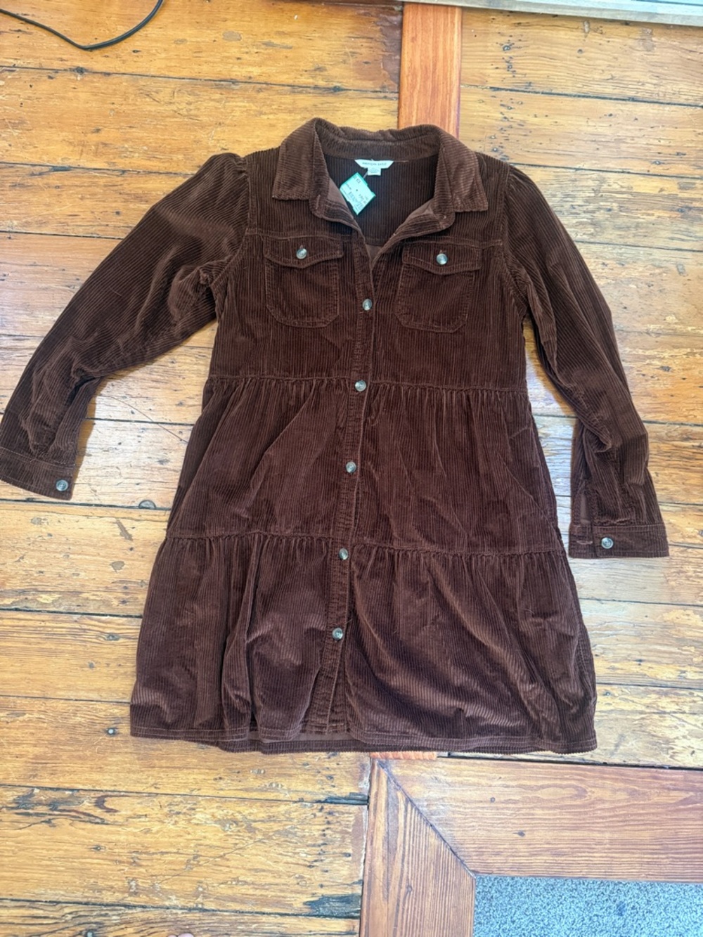 American Eagle Outfitters Brown Corduroy Button-Front Jacket